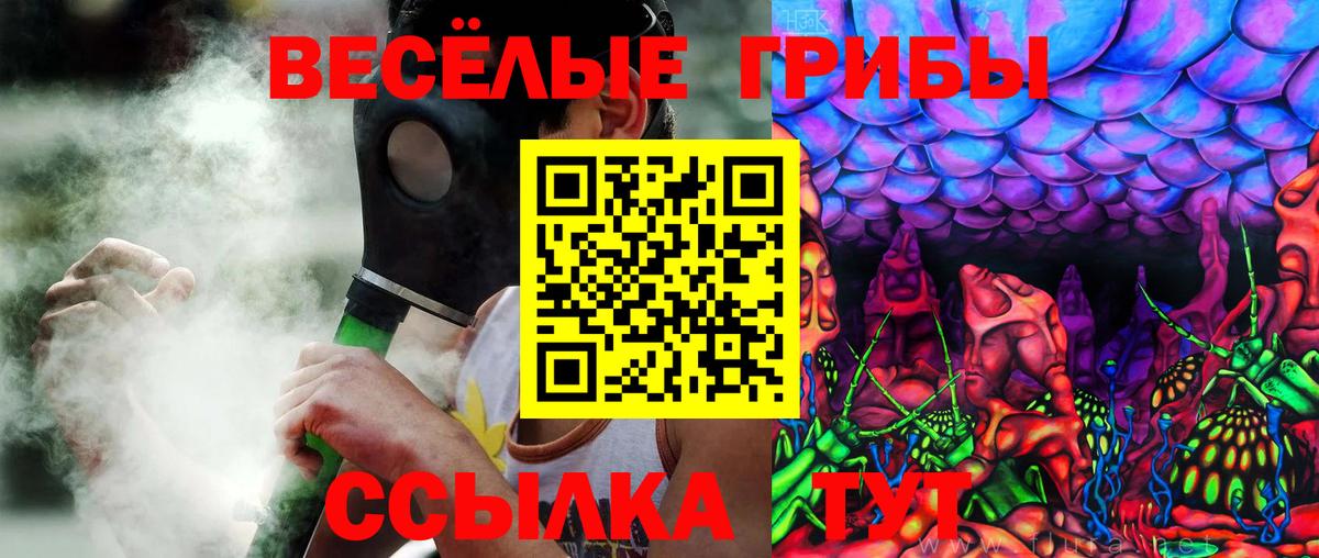 Керчь  Галлюциногенные грибы GOLDEN TEACHER  Псилоцибиновые грибы мицелий  Вход с VPN 